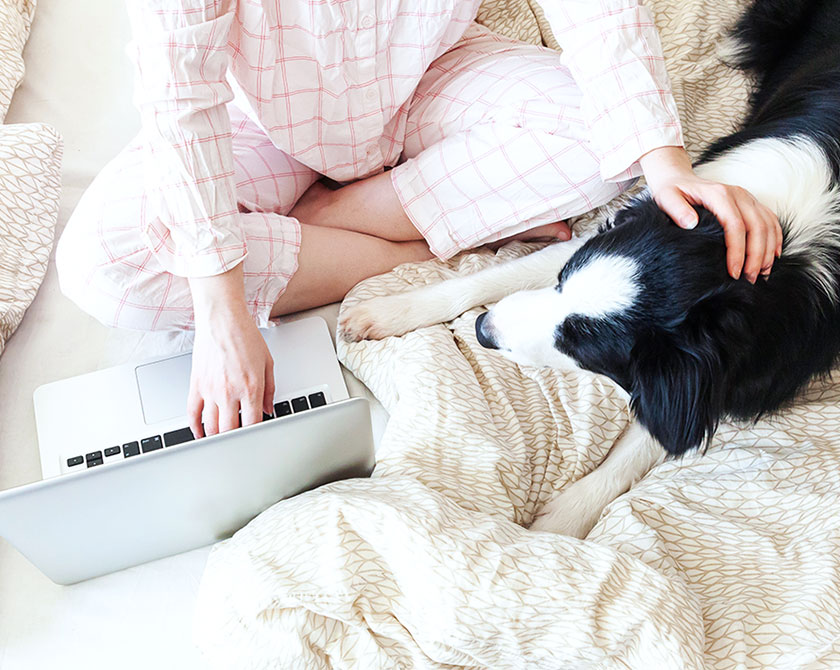 Woman sitting on bed with laptop and dog